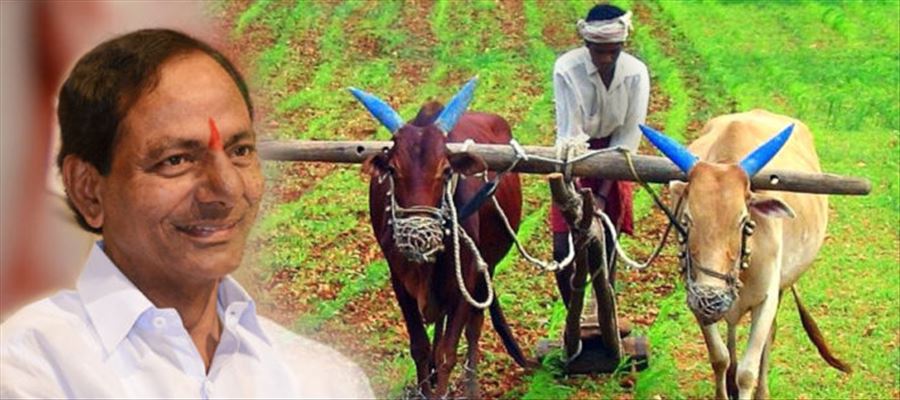 KCR Govt Releases 5100Cr Rupees For Farmers Before Elections
